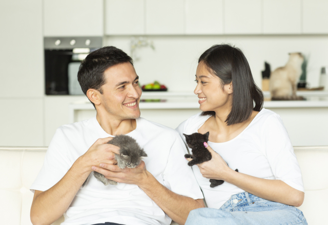 子猫を持ち見つめ合う男女