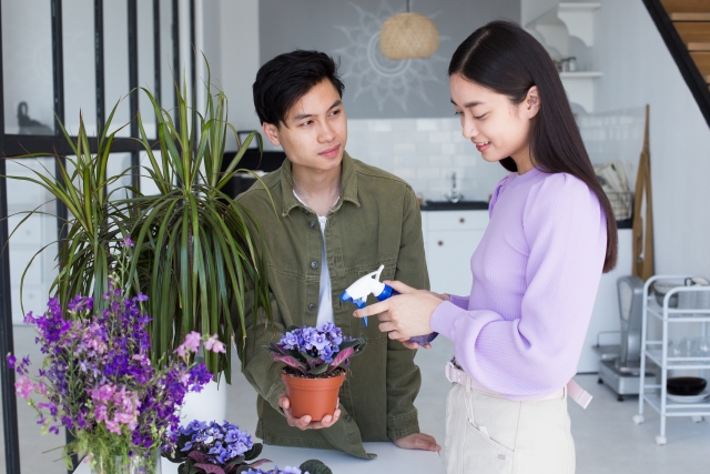 花の世話をする男女