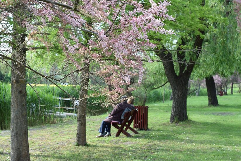 60代の既婚者がマッチングアプリを選ぶ際に確認したい4つのポイント